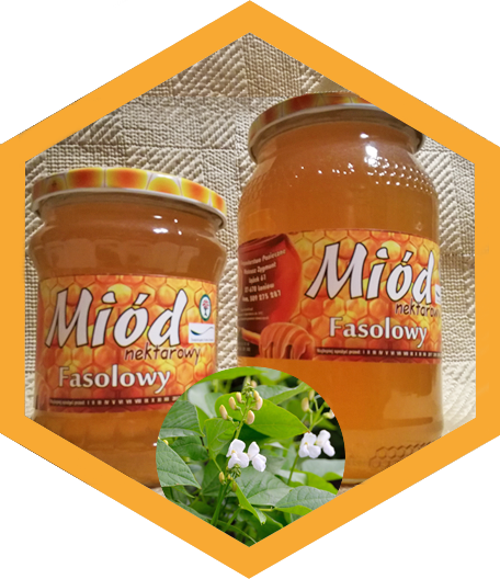 Miód nektarowy fasolowy