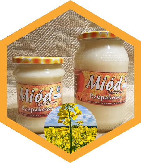 Miód nektarowy rzepakowy