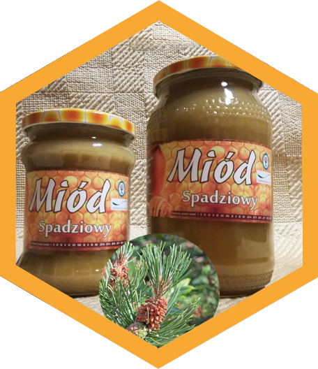 Miód spadziowy iglasty
